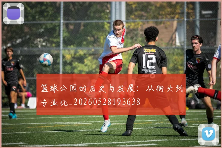 篮球公园的历史与发展：从街头到专业化_20260528193638