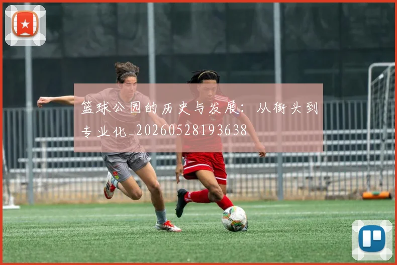 篮球公园的历史与发展：从街头到专业化_20260528193638