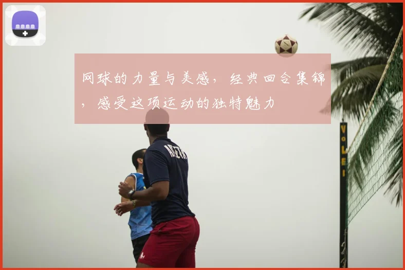 网球的力量与美感，经典回合集锦，感受这项运动的独特魅力