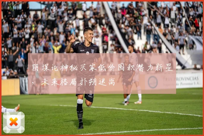 阴谋论神秘买家低价囤积潜力新星，未来格局扑朔迷离
